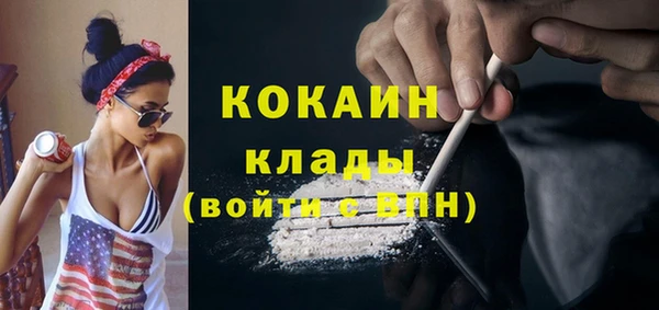 молекула духа Арсеньев