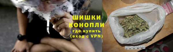 молекула духа Арсеньев