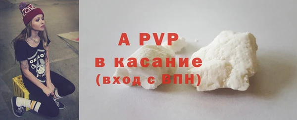 молекула духа Арсеньев