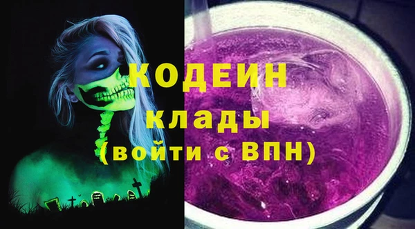 молекула духа Арсеньев