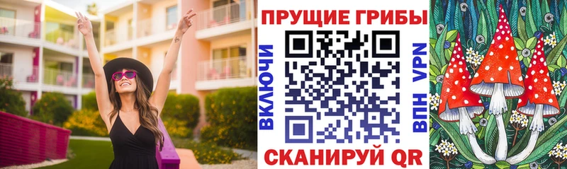 сайты даркнета клад  Волгоград  Псилоцибиновые грибы мухоморы  кракен сайт 