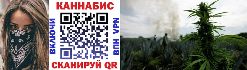 Шишки марихуана SATIVA & INDICA  где продают наркотики  Волгоград 